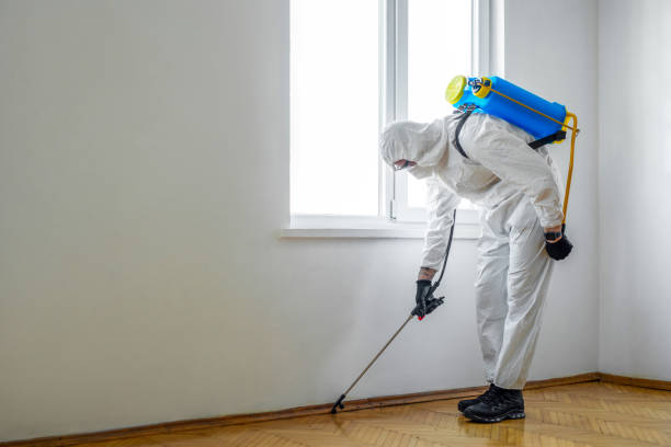 Pest Prevention Services in Rainelle, WV