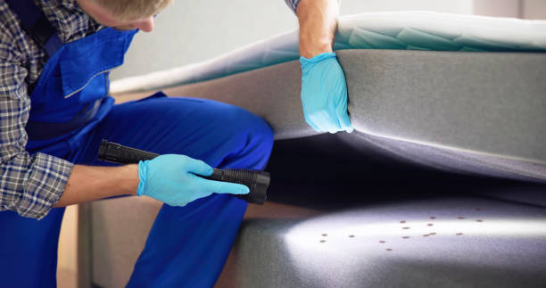 Best Exterminator Services  in Rainelle, WV